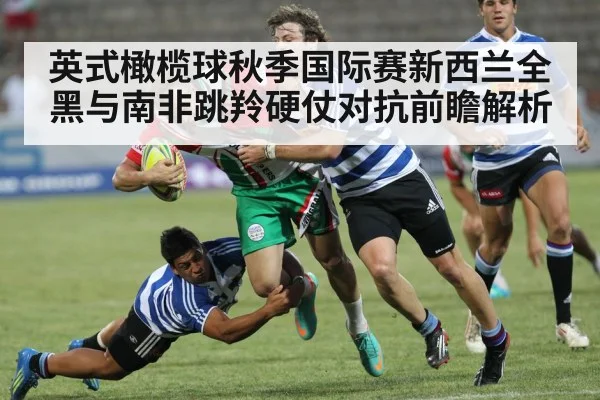 英式橄榄球秋季国际赛新西兰全黑与南非跳羚硬仗对抗前瞻解析