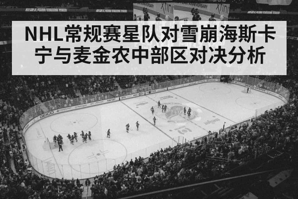 hockey arena crowd
